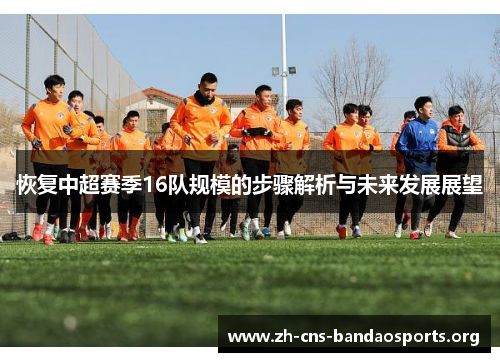恢复中超赛季16队规模的步骤解析与未来发展展望 恢复中超赛季16队规模的步骤解析与未来发展展望