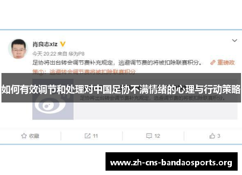 如何有效调节和处理对中国足协不满情绪的心理与行动策略 如何有效调节和处理对中国足协不满情绪的心理与行动策略