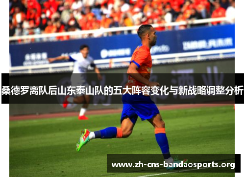 桑德罗离队后山东泰山队的五大阵容变化与新战略调整分析 桑德罗离队后山东泰山队的五大阵容变化与新战略调整分析