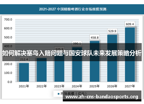 如何解决塞鸟入籍问题与国安球队未来发展策略分析 如何解决塞鸟入籍问题与国安球队未来发展策略分析
