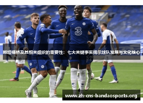 斯坦福桥及其相关组织的重要性:七大关键事实揭示球队发展与文化核心 斯坦福桥及其相关组织的重要性:七大关键事实揭示球队发展与文化核心