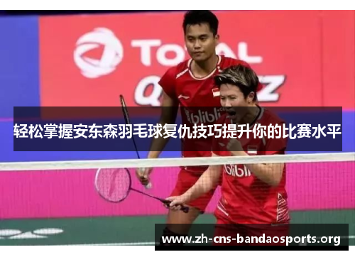轻松掌握安东森羽毛球复仇技巧提升你的比赛水平