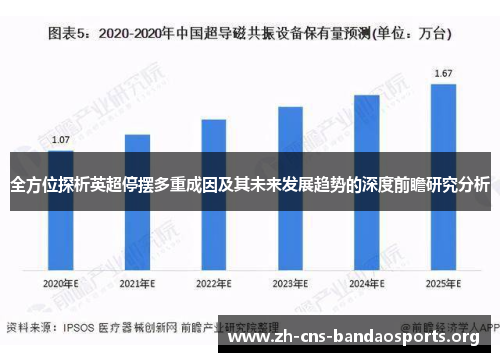 全方位探析英超停摆多重成因及其未来发展趋势的深度前瞻研究分析 全方位探析英超停摆多重成因及其未来发展趋势的深度前瞻研究分析